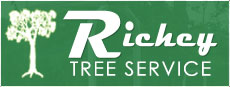 Richey Tree Service